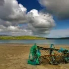 Business 4 image HELENE BRENNAN PAINTINGS AND PHOTOS Shopping in Dingle KY