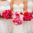 Business 1 image HOLST PHOTOGRAPHY Wedding Photography & Videography in Dublin IE


