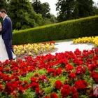 Business 23 image HOLST PHOTOGRAPHY Wedding Photography & Videography in Dublin IE


