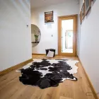 Business 1 image IRISH HIDE DESIGNS Shopping in Limerick IE


