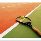 Business 1 image IRISH INSTITUTE OF SPORTS SURFACES DUBLIN, DUBLIN in Dublin IE


