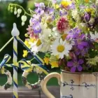 Business 3 image KANES FLORIST Shopping in Dublin IE


