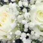 Business 5 image KANES FLORIST Shopping in Dublin IE


