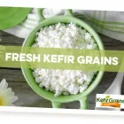 Business 1 image KEFIR GRAINS Health Foods & Products in Limerick IE


