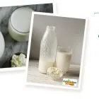 Business 5 image KEFIR GRAINS Health Foods & Products in Limerick IE


