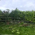 Business 14 image KILDARE TREE & LANDSCAPING SERVICES Landscape Gardeners & Contractors in Newbridge KE