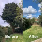Business 24 image KILDARE TREE & LANDSCAPING SERVICES Landscape Gardeners & Contractors in Newbridge KE