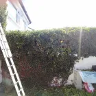 Business 8 image LEINSTER LANDSCAPING AND GROUNDWORKS General Contractors in Kildare IE


