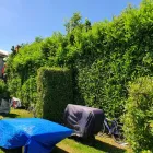 Business 20 image LEINSTER LANDSCAPING AND GROUNDWORKS General Contractors in Kildare IE


