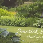 Business 2 image LIMERICK LANDSCAPE AND GARDEN DESIGN Tree Work & Forestry Services in Limerick IE


