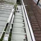 Business 9 image LOCAL ROOFING & GUTTERING Roofing Contractors in Newbridge KE