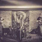 Business 1 image LUNAR PLAYGROUND in Galway G