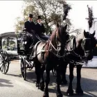 Business 2 image MAGEE FUNERAL DIRECTORS Funeral Services & Crematories in Monaghan MN