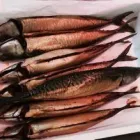 Business 2 image MEYLERS FISH COMPANY LTD Food & Beverage in Wexford WX
