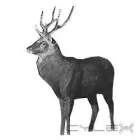 Business 1 image MICHAEL SHEAHAN & SONS BUILDERS LIMITED Real Estate & Home Improvement in Killarney KY