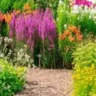 Business 1 image MIDLAND LANDSCAPES Turf & Lawn Suppliers in Kildare IE


