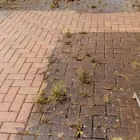 Business 1 image MURPHYS NATIONWIDE POWER WASHING AND GARDENING Gutter Cleaning in New Ross WX