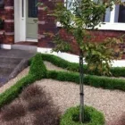 Business 1 image NEW LEAF ACUPUNCTURE CLINIC, DUBLIN Sports Injury Clinics in Dublin IE


