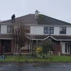 Business 6 image NEWLINE GARDENING LANDSCAPING Landscape Gardeners & Contractors in Dublin D