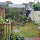 Business 7 image NEWLINE GARDENING LANDSCAPING Landscape Gardeners & Contractors in Dublin D