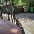 Business 10 image NEWLINE GARDENING LANDSCAPING Landscape Gardeners & Contractors in Dublin D