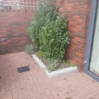 Business 13 image NEWLINE GARDENING LANDSCAPING Landscape Gardeners & Contractors in Dublin D
