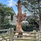 Business 14 image NEWLINE GARDENING LANDSCAPING Landscape Gardeners & Contractors in Dublin D