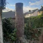 Business 17 image NEWLINE GARDENING LANDSCAPING Landscape Gardeners & Contractors in Dublin D