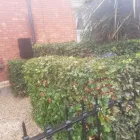 Business 18 image NEWLINE GARDENING LANDSCAPING Landscape Gardeners & Contractors in Dublin D