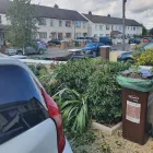 Business 22 image NEWLINE GARDENING LANDSCAPING Landscape Gardeners & Contractors in Dublin D