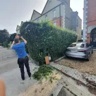 Business 27 image NEWLINE GARDENING LANDSCAPING Landscape Gardeners & Contractors in Dublin D