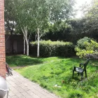 Business 29 image NEWLINE GARDENING LANDSCAPING Landscape Gardeners & Contractors in Dublin D