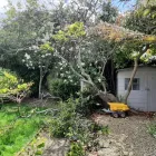 Business 35 image NEWLINE GARDENING LANDSCAPING Landscape Gardeners & Contractors in Dublin D