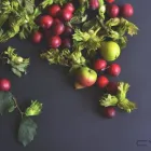 Business 1 image NUTRIHYP Weight Loss Specialists & Clinics in Dublin IE


