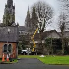 Business 2 image O’KENNEDY TREE CARE Tree Service/surgeons in Cork CO