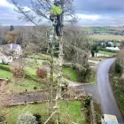 Business 5 image O’KENNEDY TREE CARE Tree Service/surgeons in Cork CO