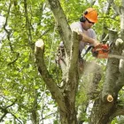 Business 1 image OLYMPIAN LANDSCAPING Real Estate & Home Improvement in Dublin IE


