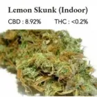 Business 2 image ONLINE CBD IRELAND Health & Medicine in Dublin IE


