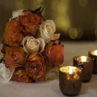 Business 3 image PHOTOGRAPHY BY JAN Photographers in Dublin IE


