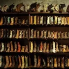 Business 8 image PHOTOGRAPHY BY JAN Photographers in Dublin IE


