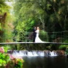 Business 15 image PHOTOGRAPHY BY JAN Photographers in Dublin IE


