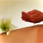 Business 6 image PURE TOUCH Massage Therapists in Kenmare KY