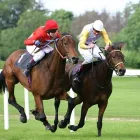 Business 4 image QUEALYS BAR Public Houses & Lounge Bars in Dungarvan WD