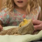 Business 13 image RADISSON BLU HOTEL & SPA LIMERICK Travel & Tourism in Limerick IE


