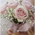 Business 4 image RYAN'S FLORIST Shopping in Tipperary TA