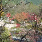 Business 1 image SHOGUN.IE MARTIAL ARTS NAVAN/MULLINGAR Sports & Recreation in Navan MH