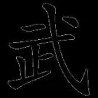 Business 8 image SHOGUN.IE MARTIAL ARTS NAVAN/MULLINGAR Sports & Recreation in Navan MH