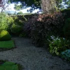 Business 6 image SOUND GARDENS Tree Work & Forestry Services in Wexford WX