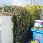 Business 3 image START 2 FINISH LANDSCAPES & CLEANING Cleaning & Maintenance Service in Wexford WX