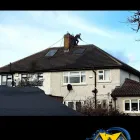 Business 9 image START 2 FINISH LANDSCAPES & CLEANING Cleaning & Maintenance Service in Wexford WX